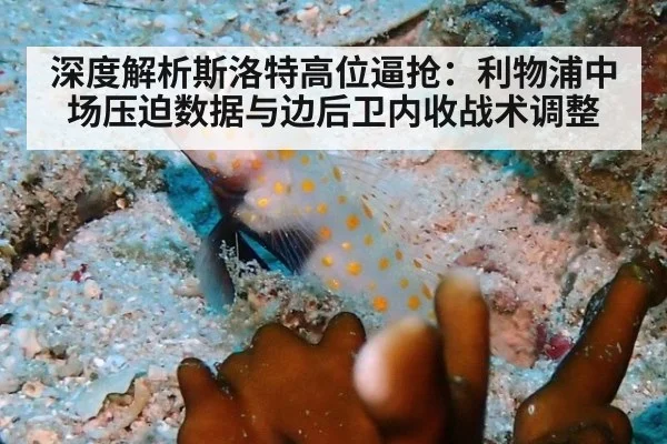 深度解析斯洛特高位逼抢:利物浦中场压迫数据与边后卫内收战术调整